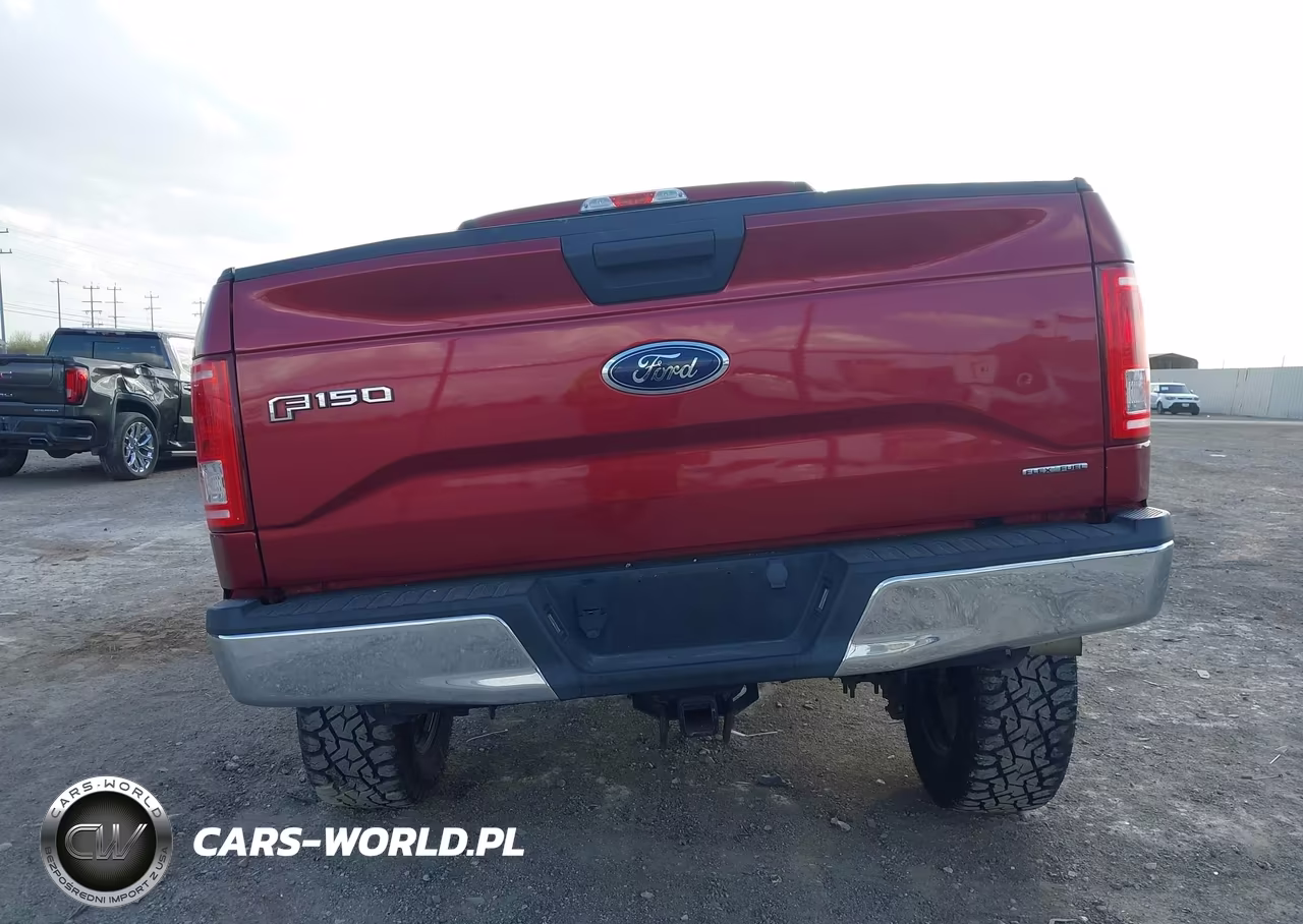 2015 Ford F-150 Xlt VIN:1FTFW1EF6FFA06791 - 17