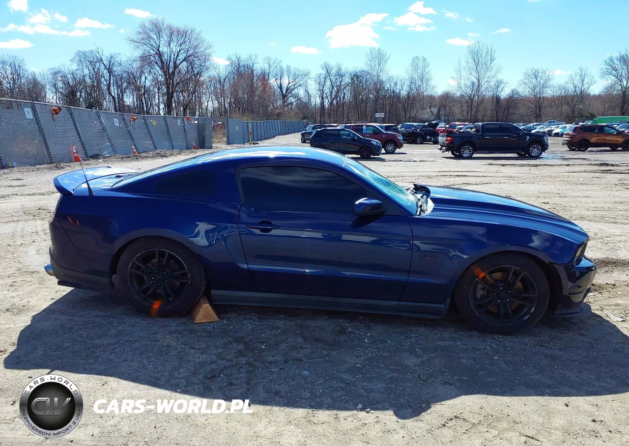 2011 Ford Mustang Gt Premium VIN:1ZVBP8CF8B5163985 - 13