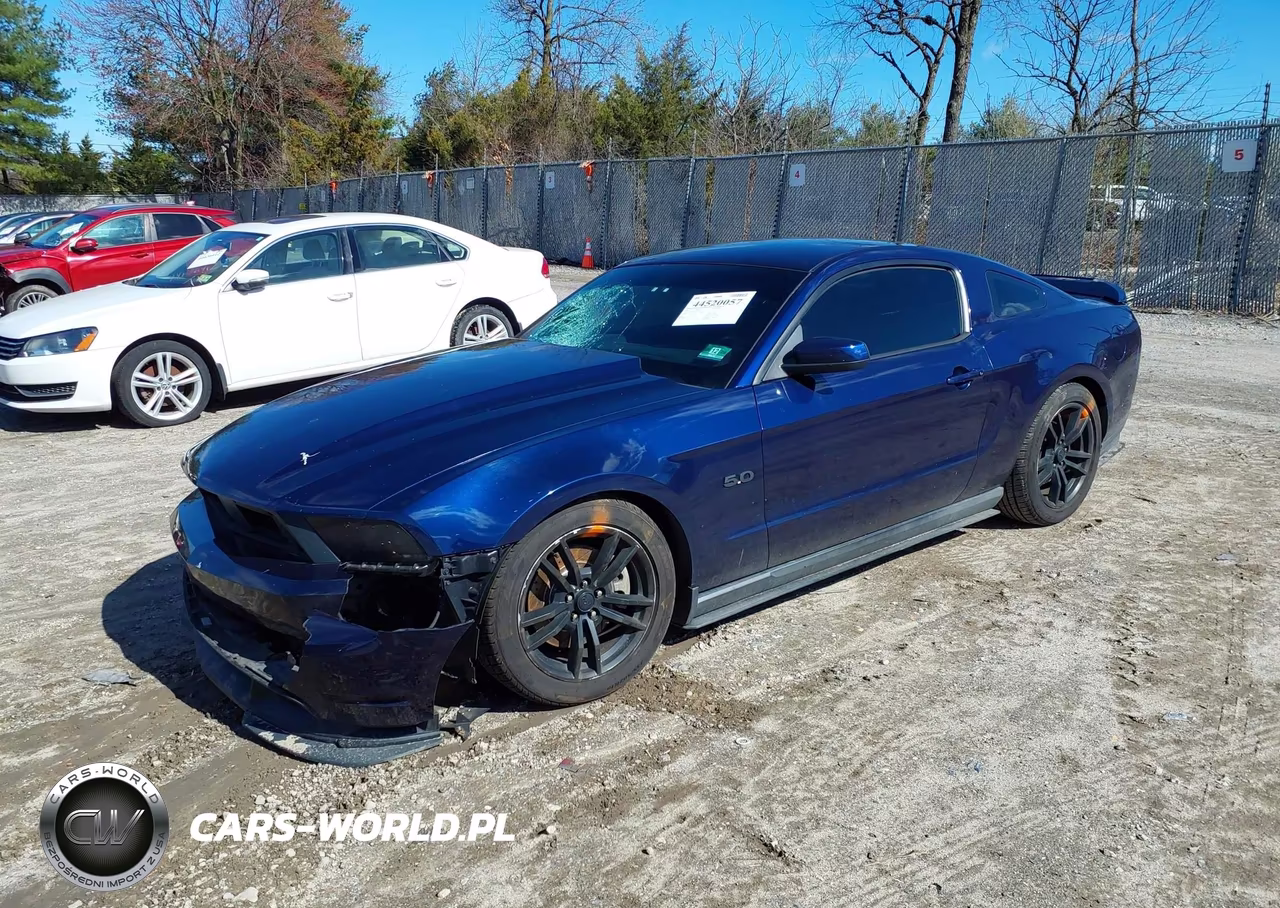 2011 Ford Mustang Gt Premium VIN:1ZVBP8CF8B5163985 - 2