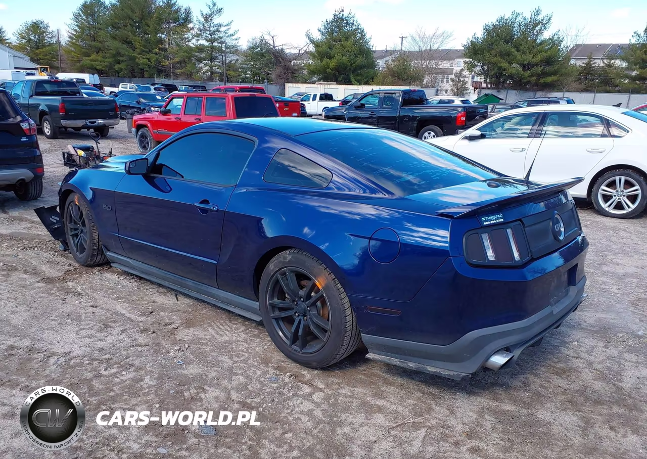 2011 Ford Mustang Gt Premium VIN:1ZVBP8CF8B5163985 - 3