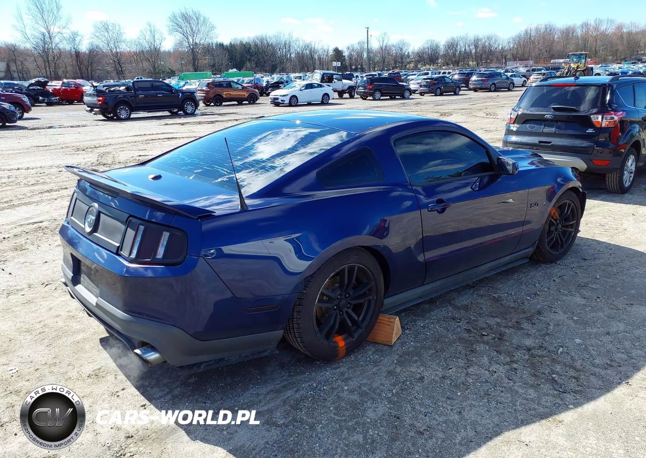2011 Ford Mustang Gt Premium VIN:1ZVBP8CF8B5163985 - 4