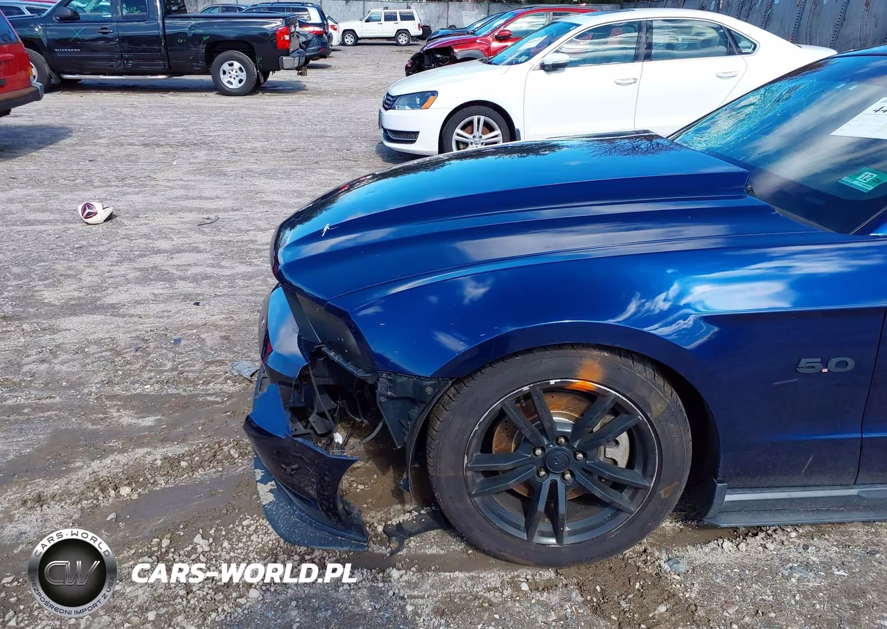 2011 Ford Mustang Gt Premium VIN:1ZVBP8CF8B5163985 - 6