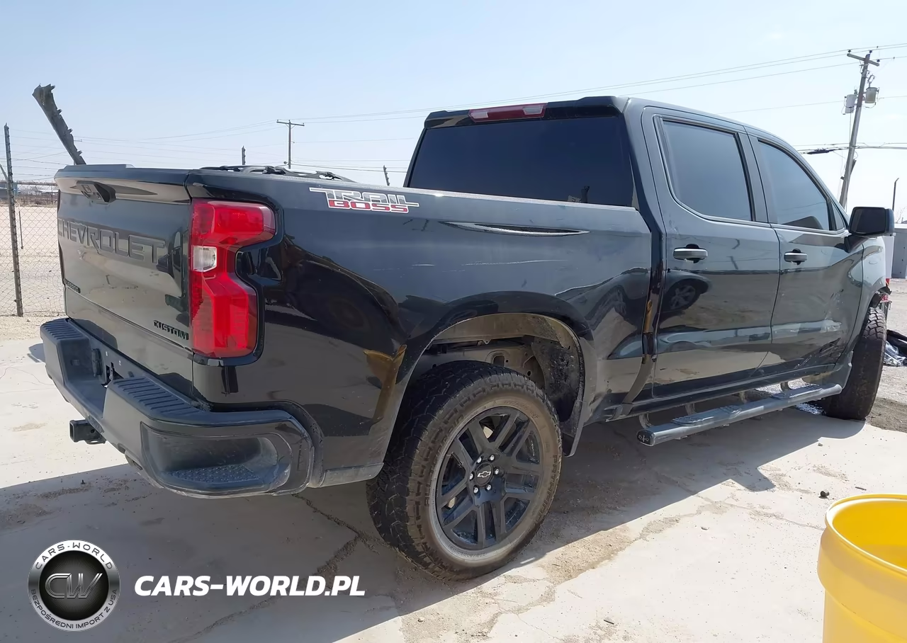 2023 Chevrolet Silverado 1500 VIN:3GCUDCED0PG235216 - 4