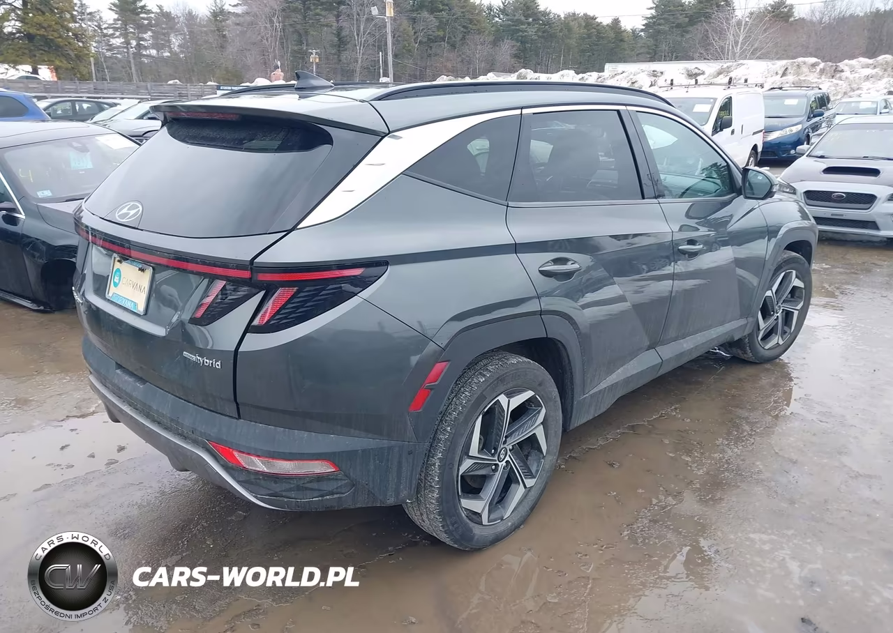 2022 Hyundai Tucson Hybrid Limited VIN:KM8JECA15NU041430 - 4