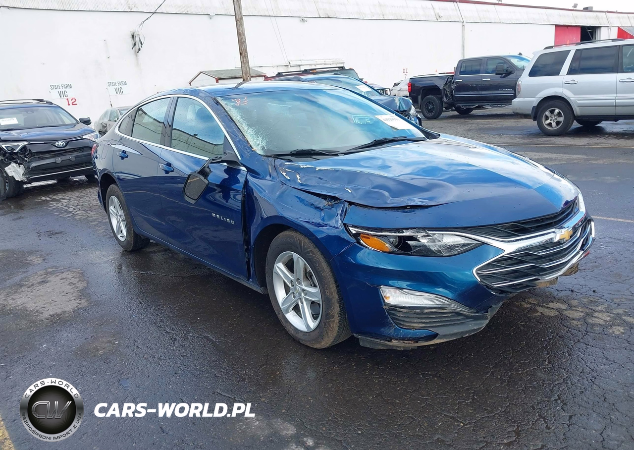 2019 Chevrolet Malibu 1Fl