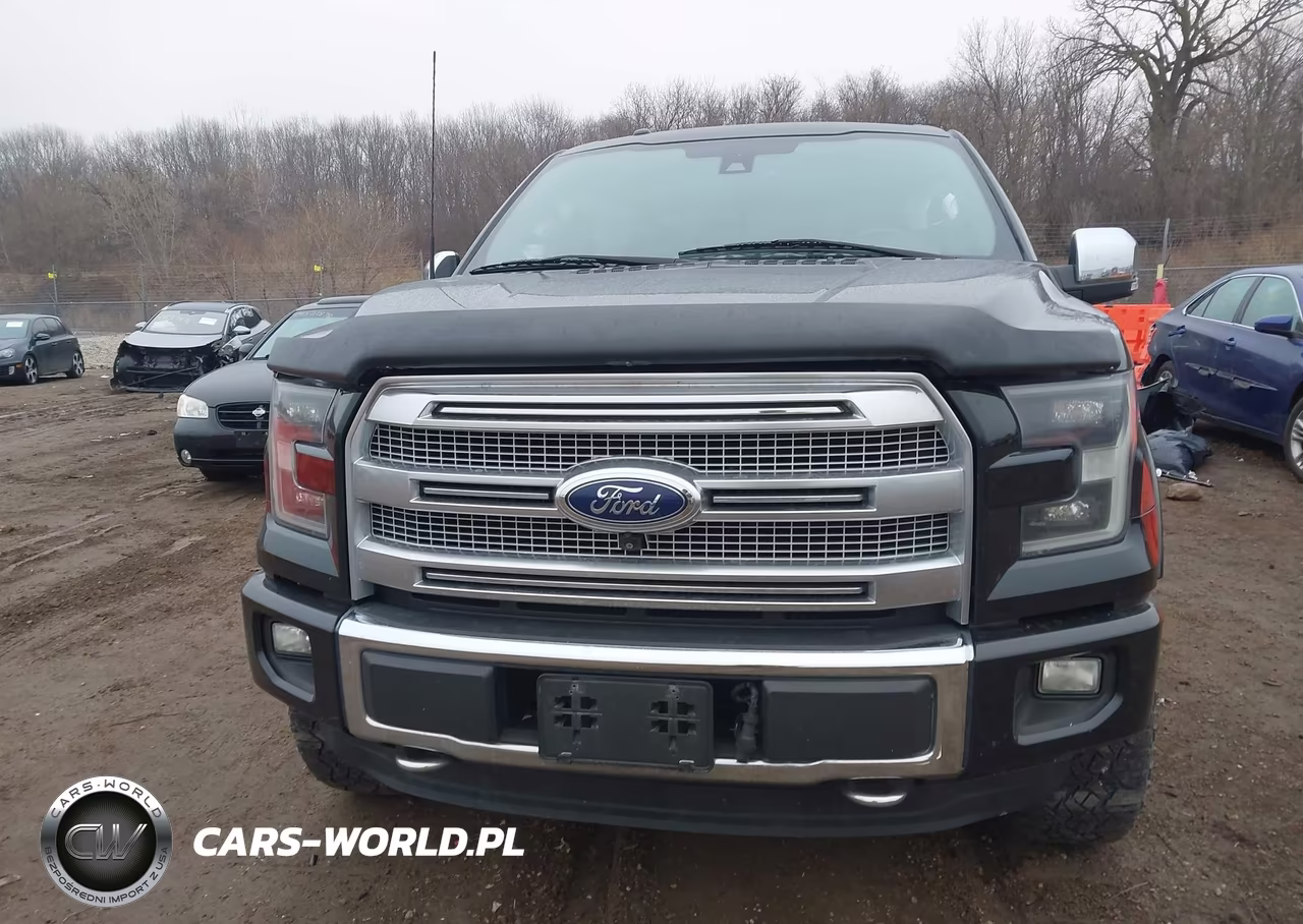 2015 Ford F-150 Platinum VIN:1FTEW1EG2FFA36164 - 12