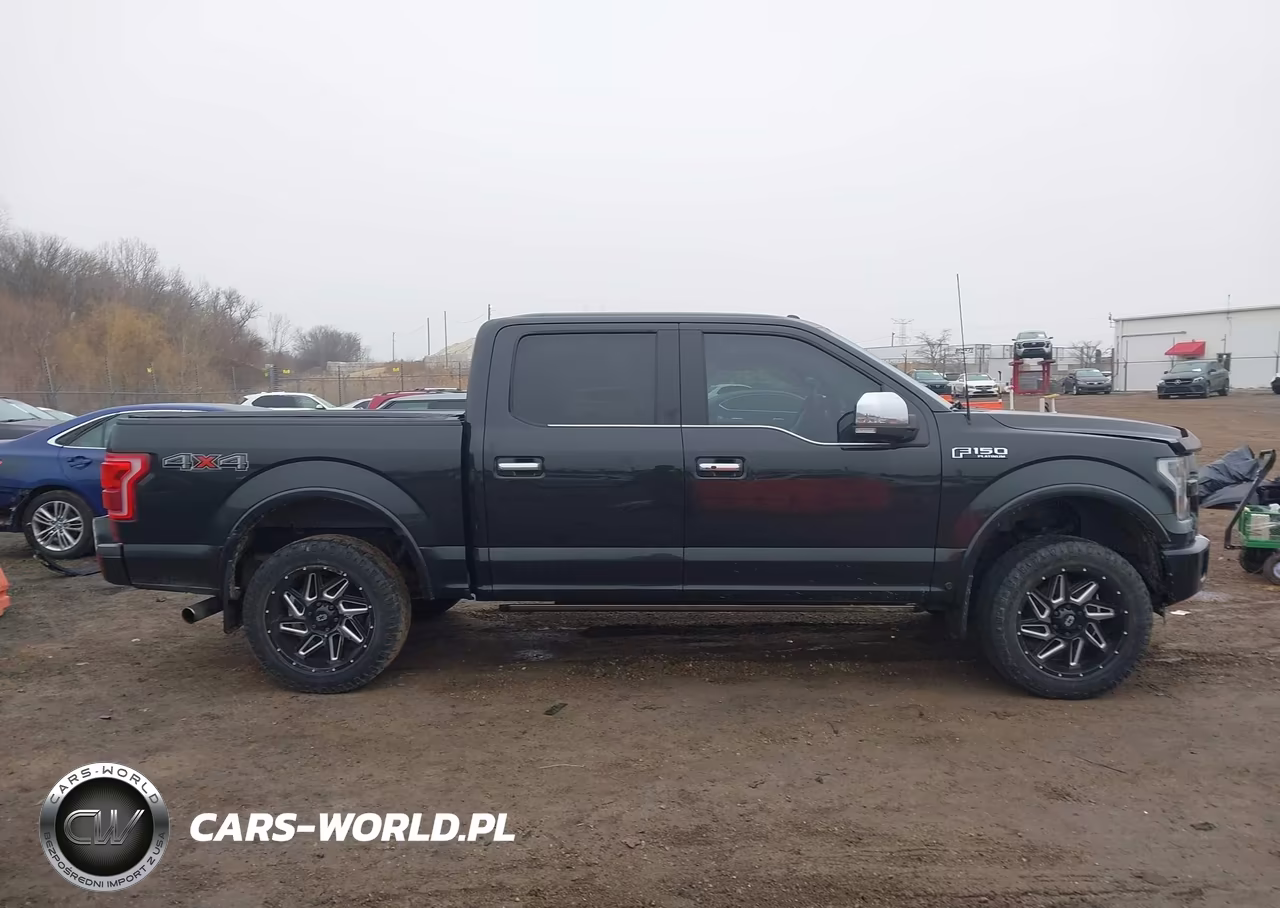 2015 Ford F-150 Platinum VIN:1FTEW1EG2FFA36164 - 13