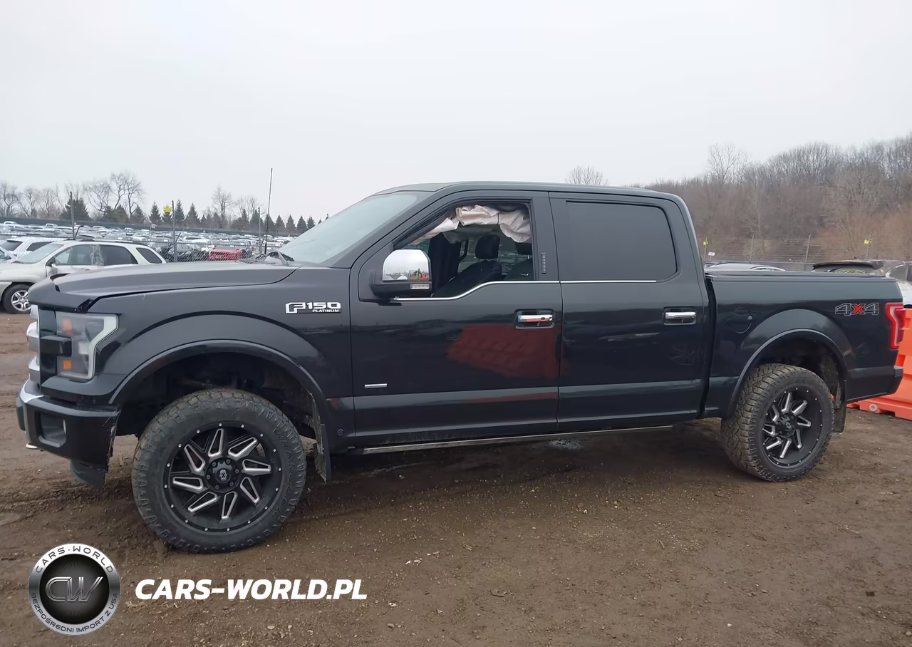 2015 Ford F-150 Platinum VIN:1FTEW1EG2FFA36164 - 14