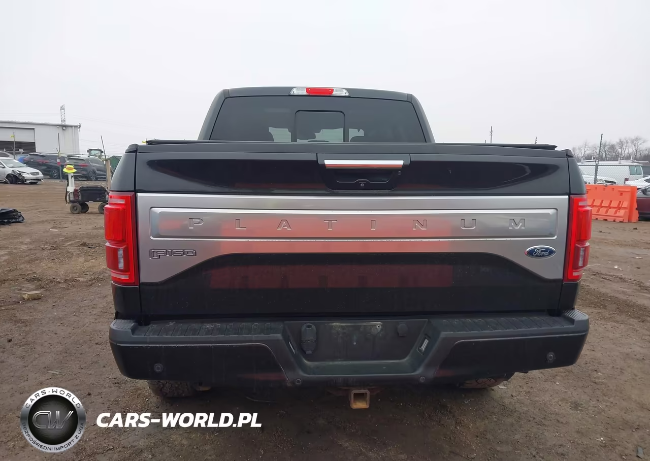 2015 Ford F-150 Platinum VIN:1FTEW1EG2FFA36164 - 16