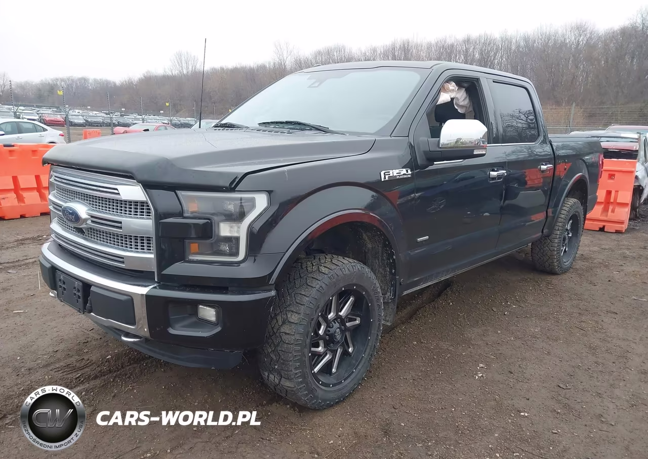 2015 Ford F-150 Platinum VIN:1FTEW1EG2FFA36164 - 2