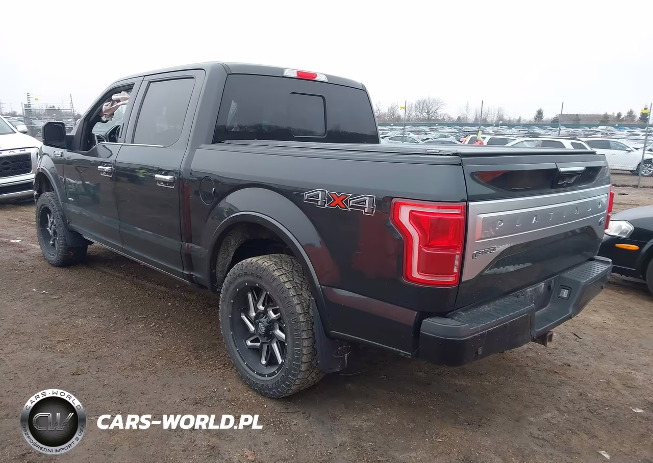 2015 Ford F-150 Platinum VIN:1FTEW1EG2FFA36164 - 3