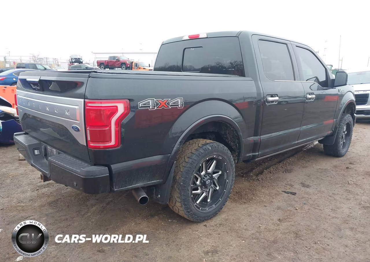 2015 Ford F-150 Platinum VIN:1FTEW1EG2FFA36164 - 4