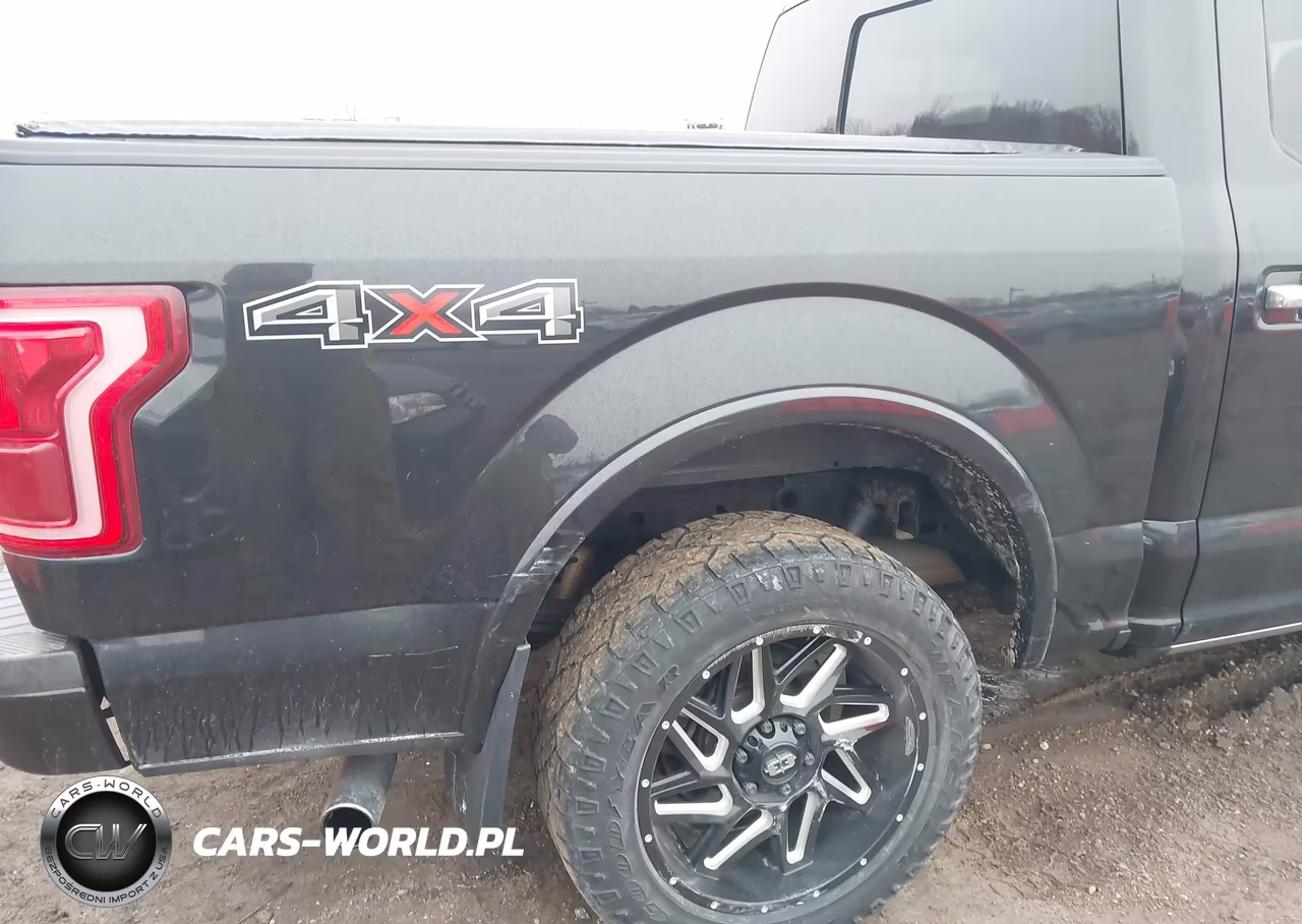 2015 Ford F-150 Platinum VIN:1FTEW1EG2FFA36164 - 6