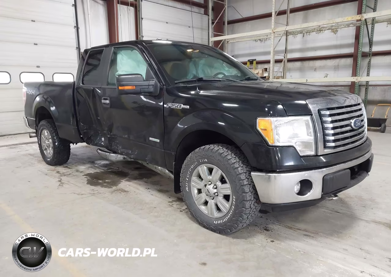 2011 Ford F-150 Xlt – zdjęcie 1 z 16