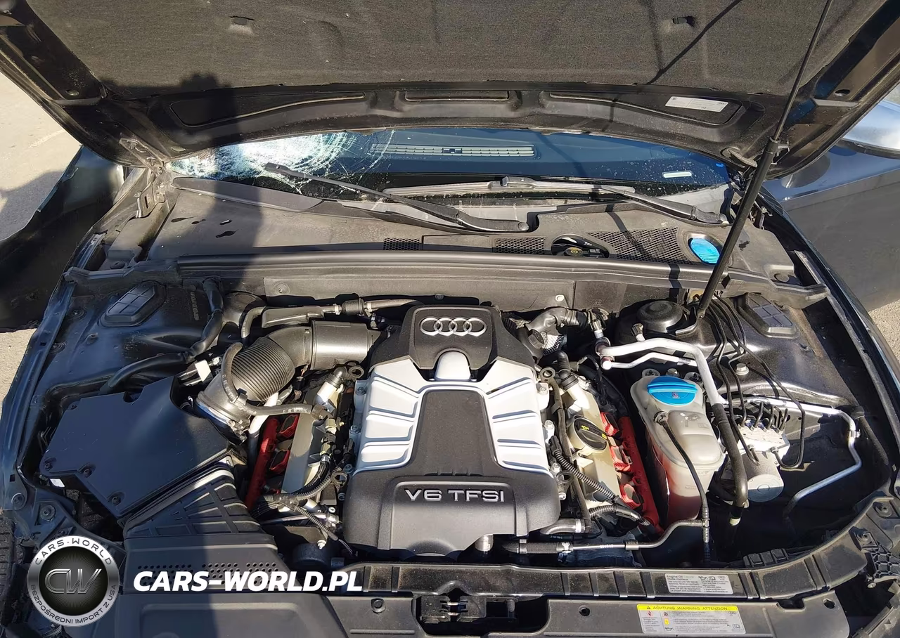 2014 Audi S5 3.0T Premium Plus VIN:WAUCGAFH0EN004889 - 10