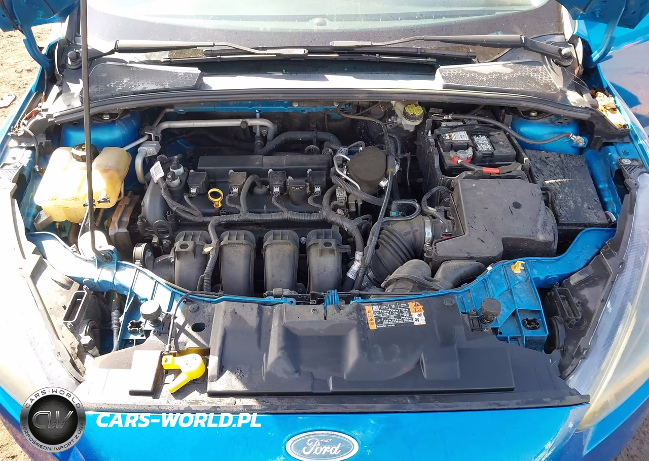2015 Ford Focus Se VIN:1FADP3F24FL291591 - 10