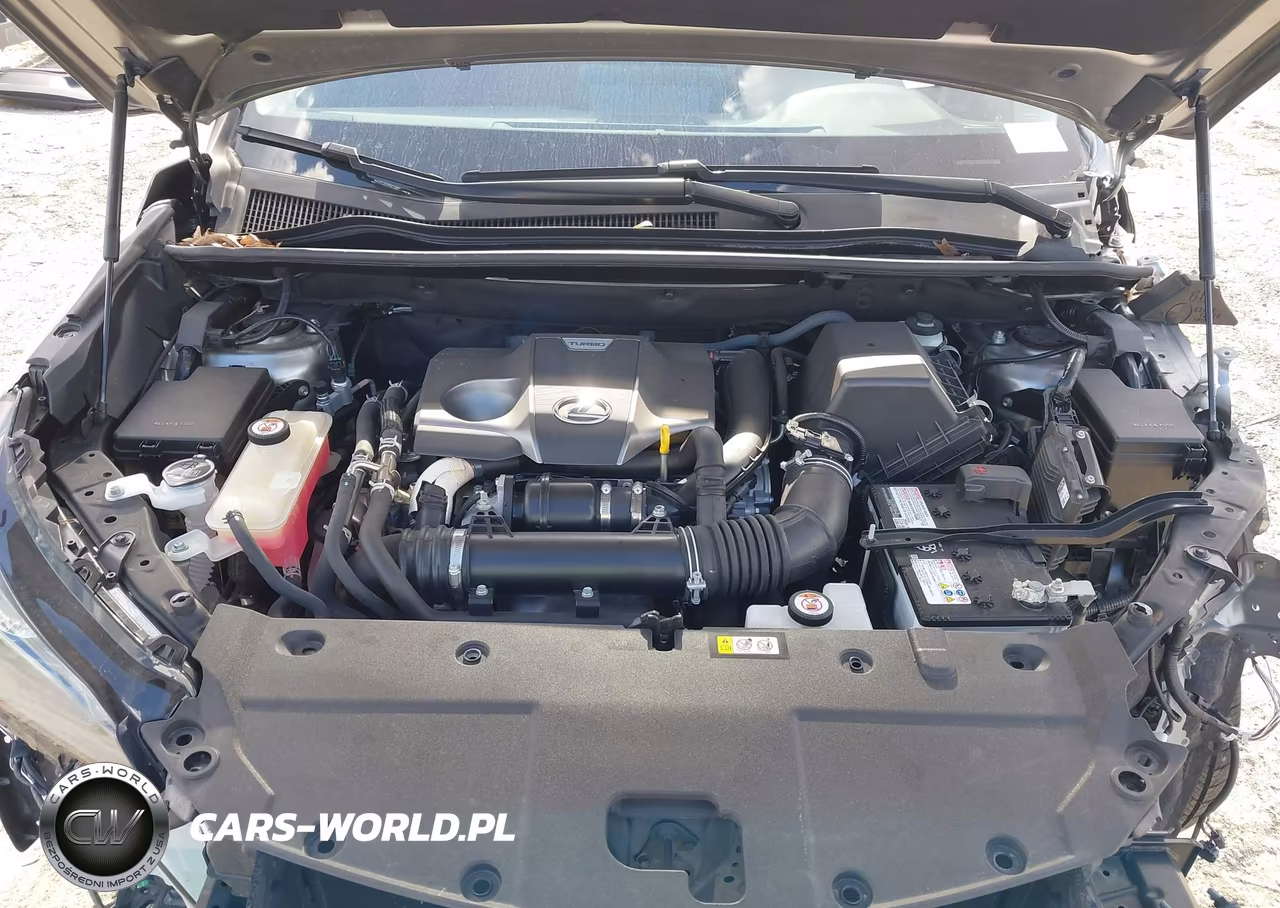 2021 Lexus Nx 300 VIN:JTJDARBZ2M5033229 - 10
