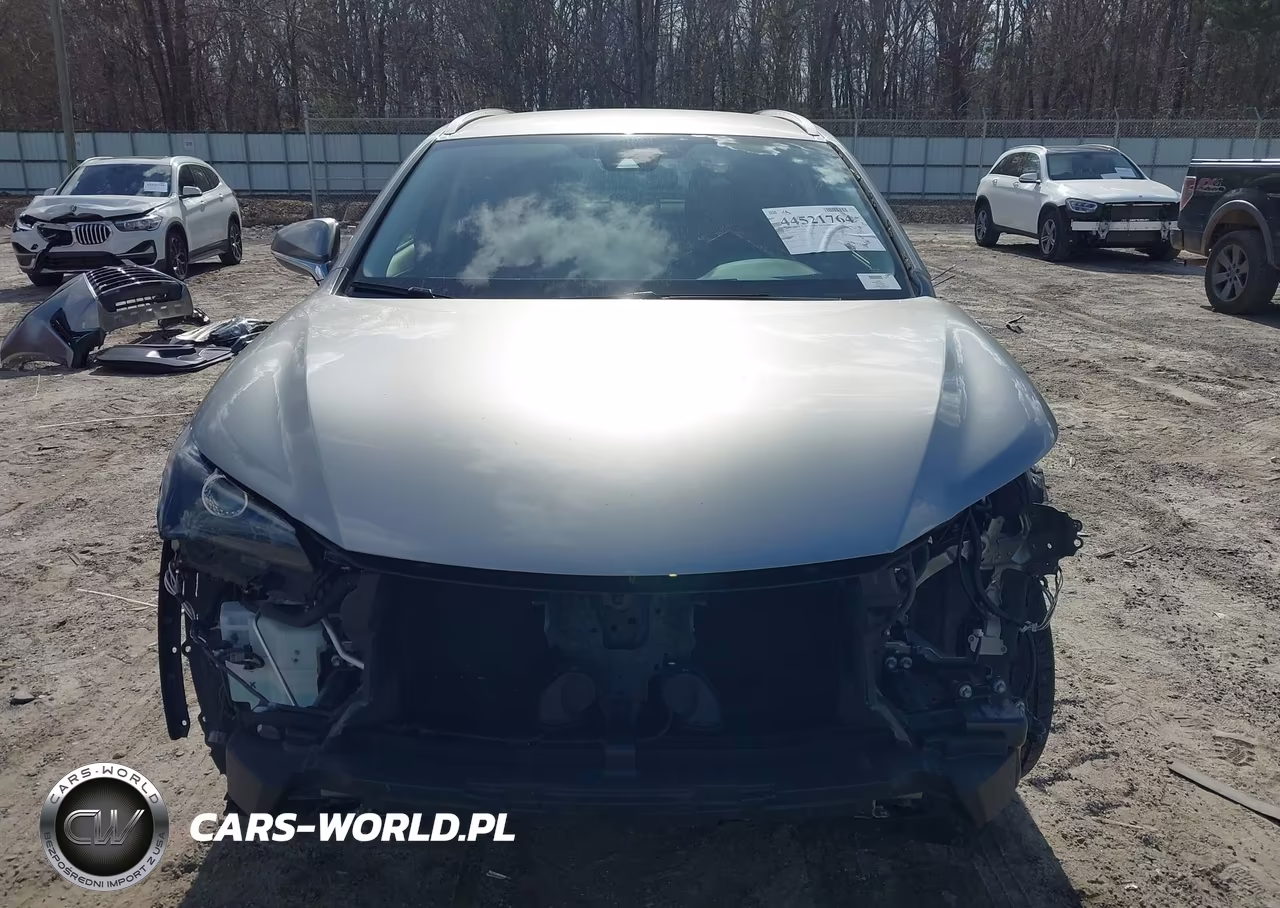 2021 Lexus Nx 300 VIN:JTJDARBZ2M5033229 - 13