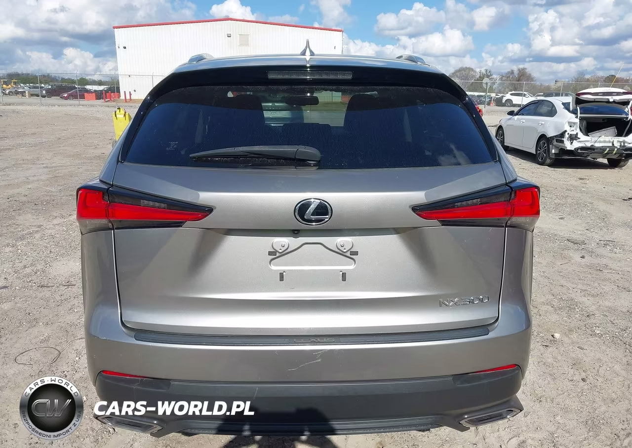 2021 Lexus Nx 300 VIN:JTJDARBZ2M5033229 - 17