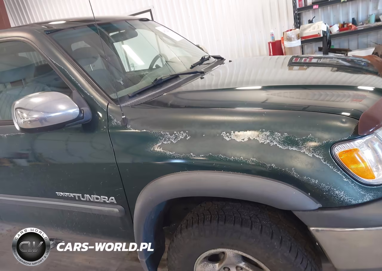 2002 Toyota Tundra Access Cab-Access Cab Sr5 VIN:5TBBT44172S225552 - 12