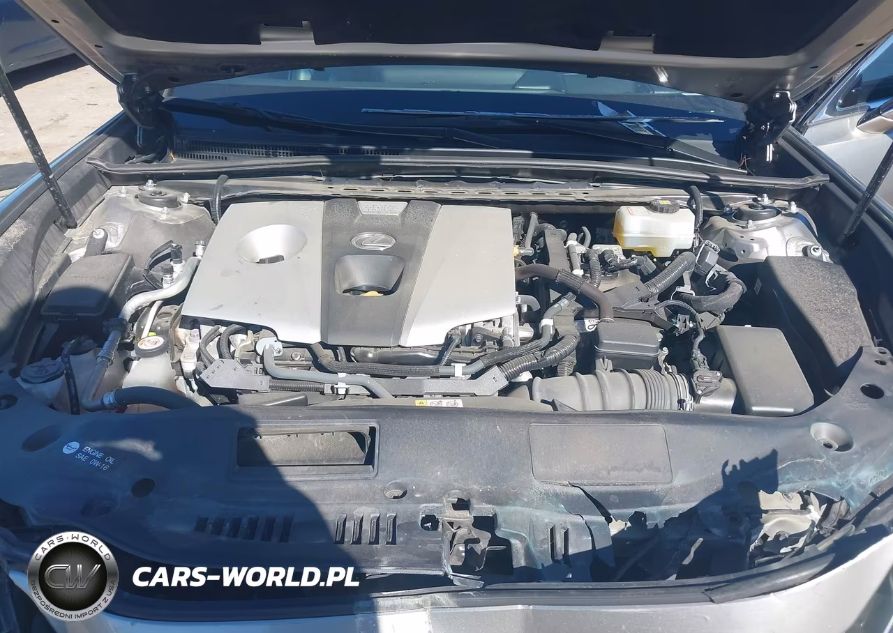 2020 Lexus Es 300H Ultra Luxury VIN:58AF21B19LU009247 - 10