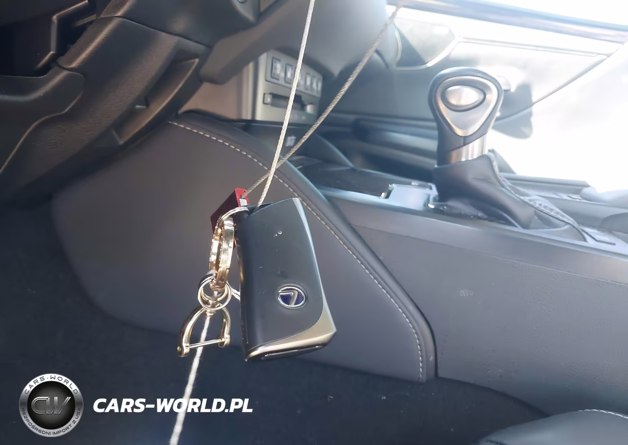 2020 Lexus Es 300H Ultra Luxury VIN:58AF21B19LU009247 - 11