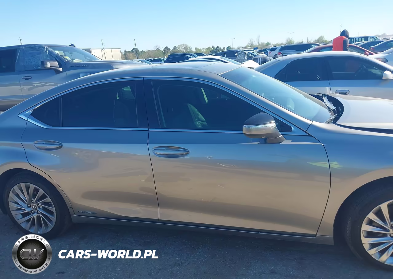 2020 Lexus Es 300H Ultra Luxury VIN:58AF21B19LU009247 - 13