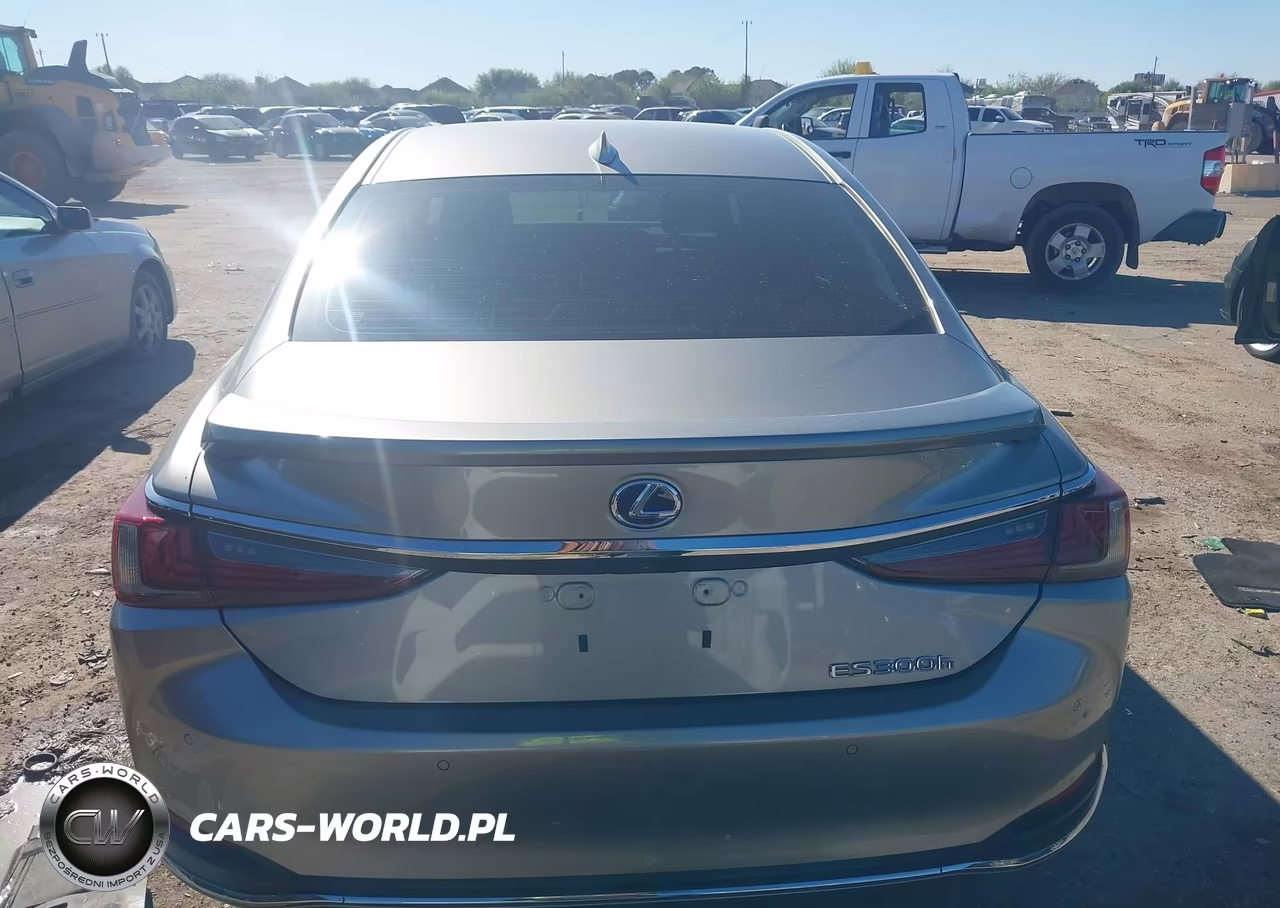 2020 Lexus Es 300H Ultra Luxury VIN:58AF21B19LU009247 - 16