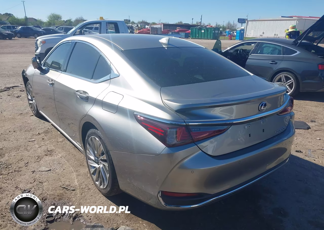 2020 Lexus Es 300H Ultra Luxury VIN:58AF21B19LU009247 - 3