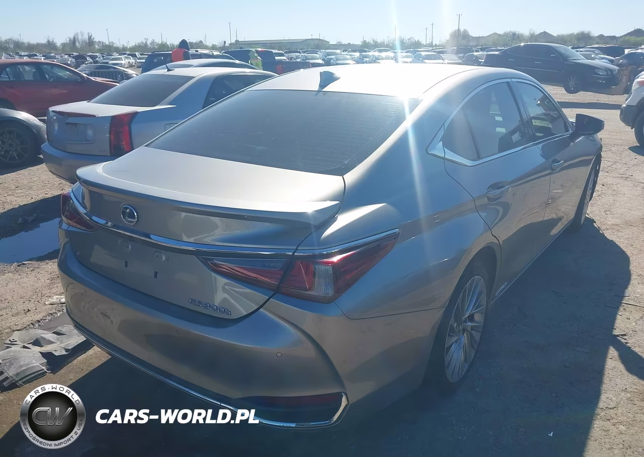 2020 Lexus Es 300H Ultra Luxury VIN:58AF21B19LU009247 - 4