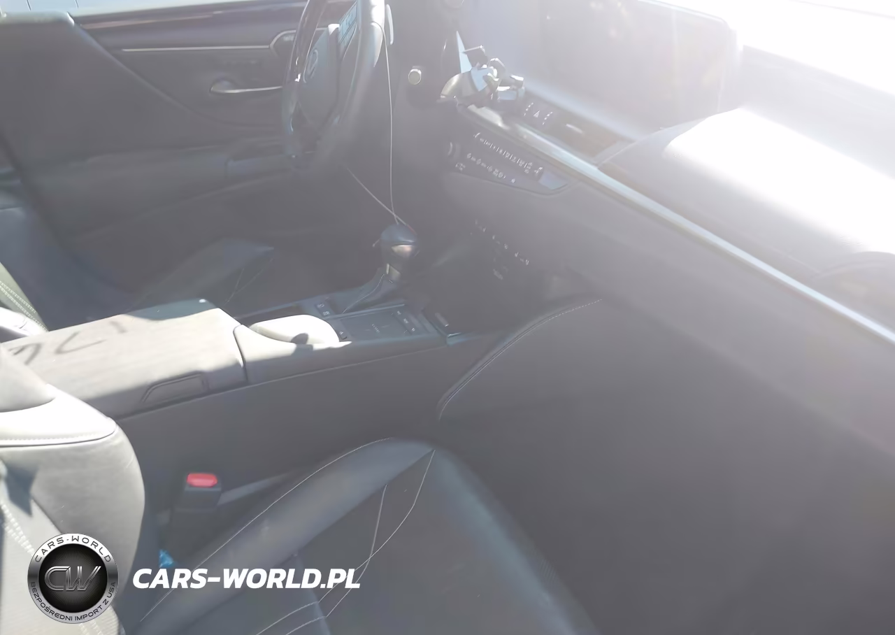 2020 Lexus Es 300H Ultra Luxury VIN:58AF21B19LU009247 - 5