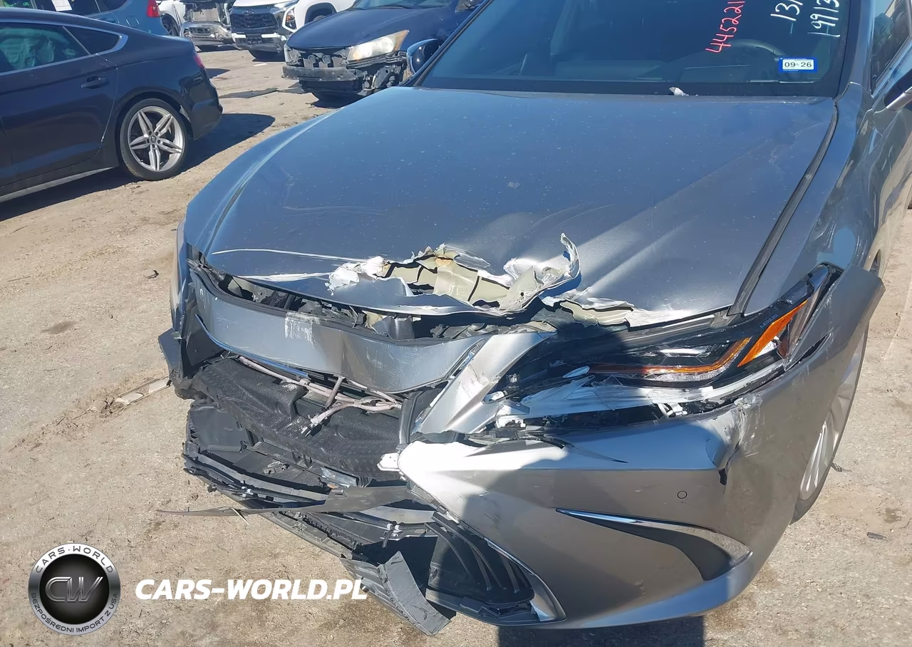 2020 Lexus Es 300H Ultra Luxury VIN:58AF21B19LU009247 - 6