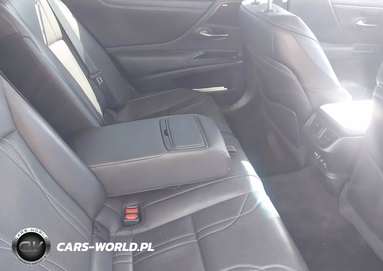 2020 Lexus Es 300H Ultra Luxury VIN:58AF21B19LU009247 - 8