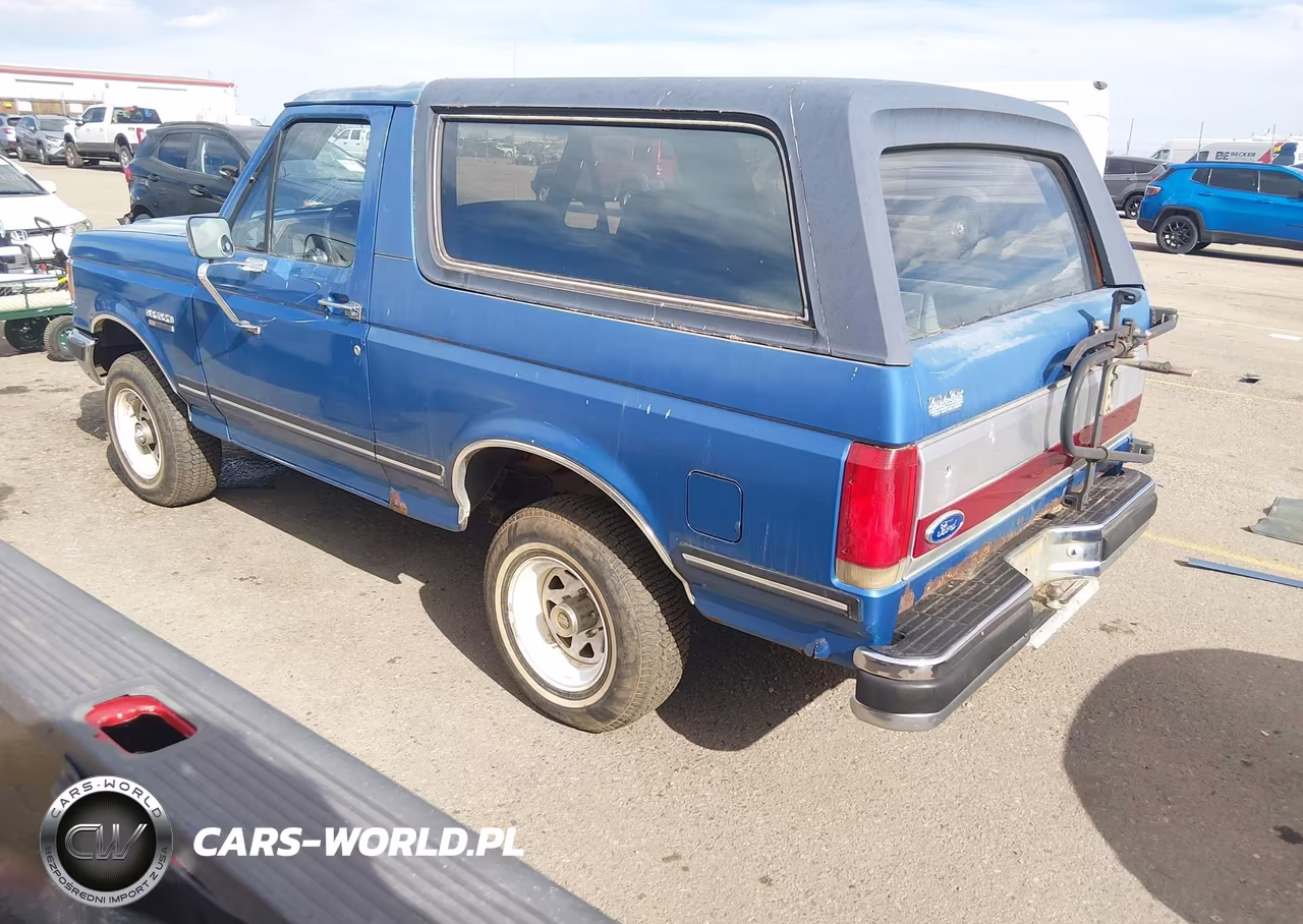 1988 Ford Bronco U100 VIN:1FMEU15N9JLA02068 - 3