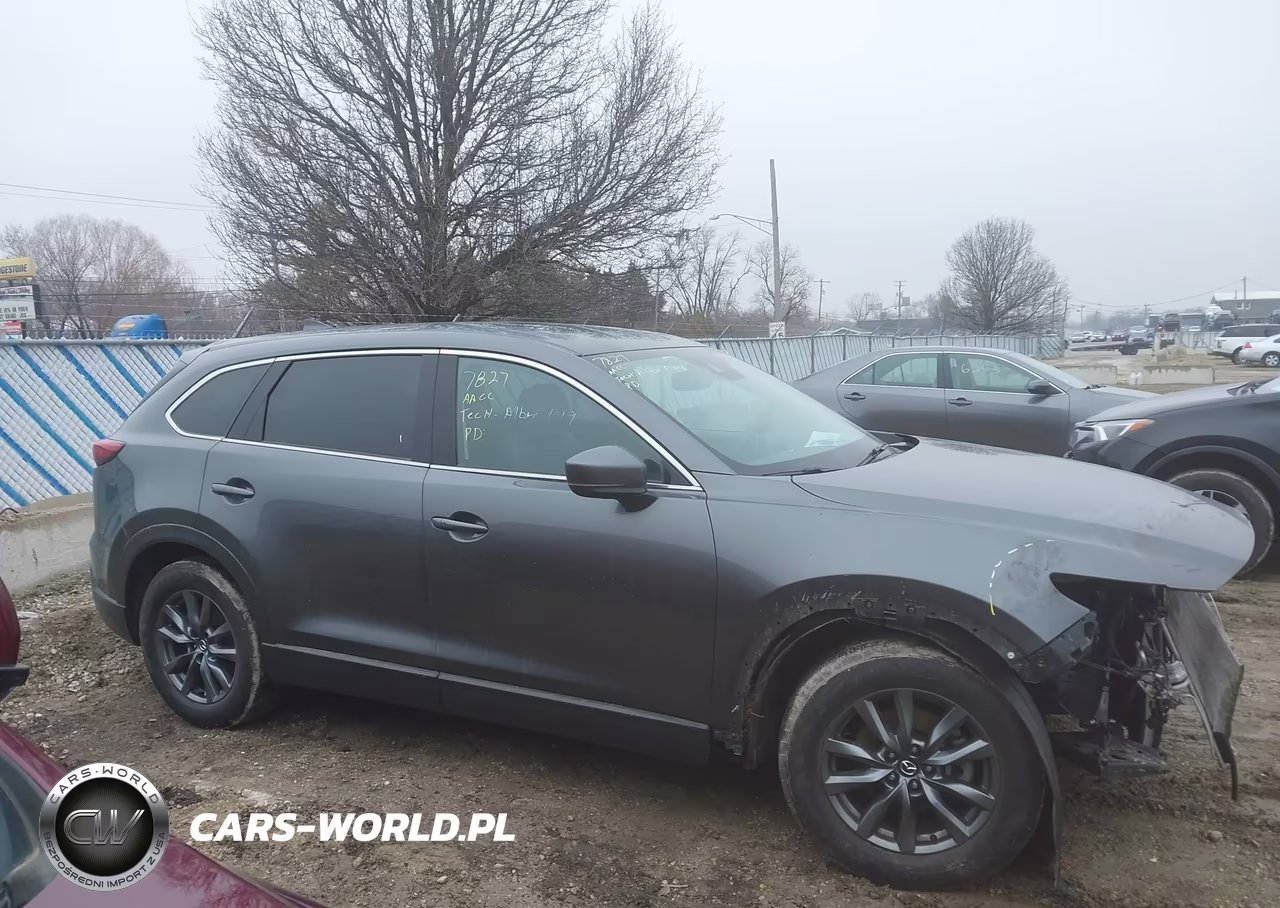 2020 Mazda Cx-9 Touring VIN:JM3TCACY5L0418173 - 13