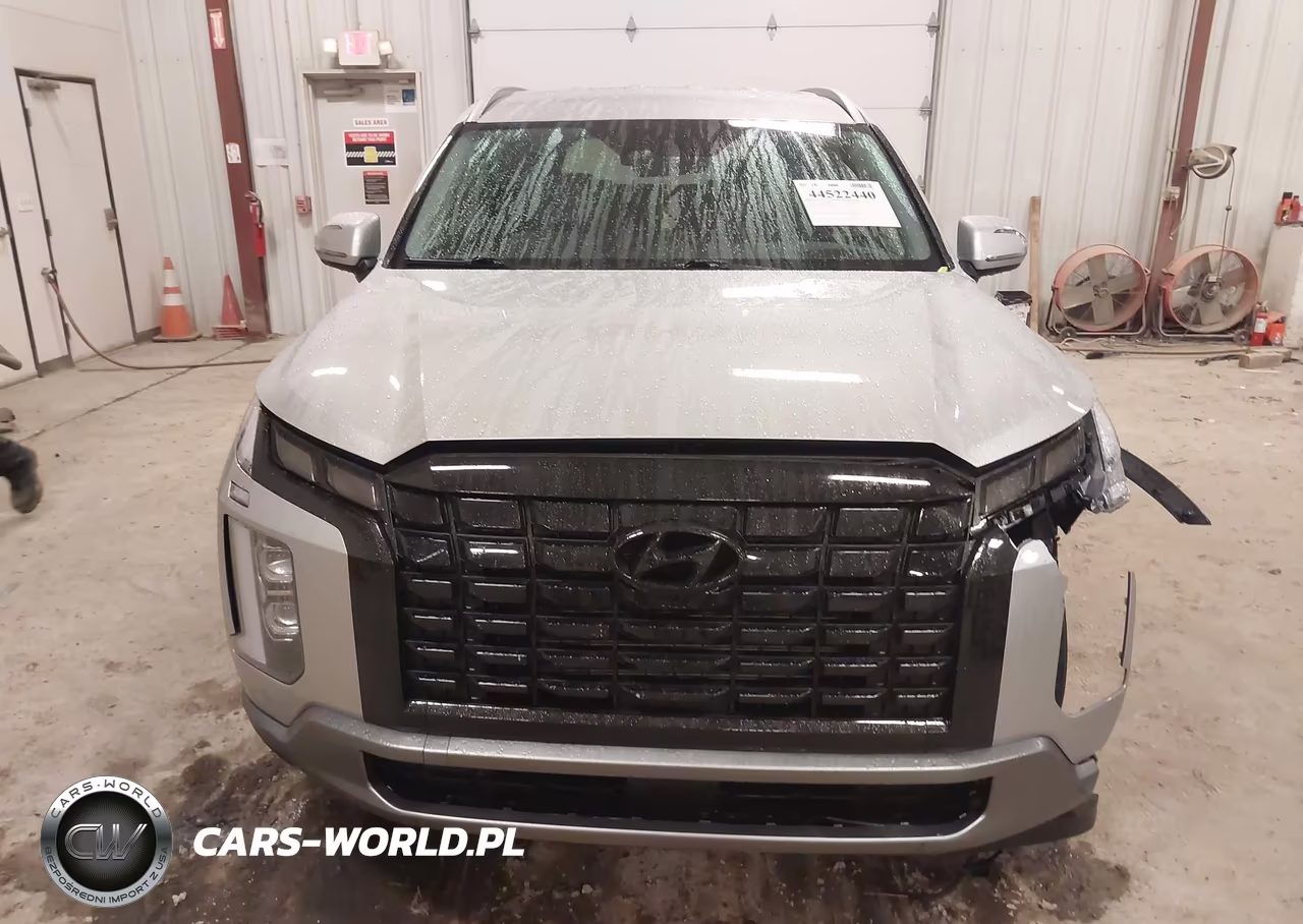 2025 Hyundai Palisade Sel VIN:KM8R2DGE1SU844629 - 12