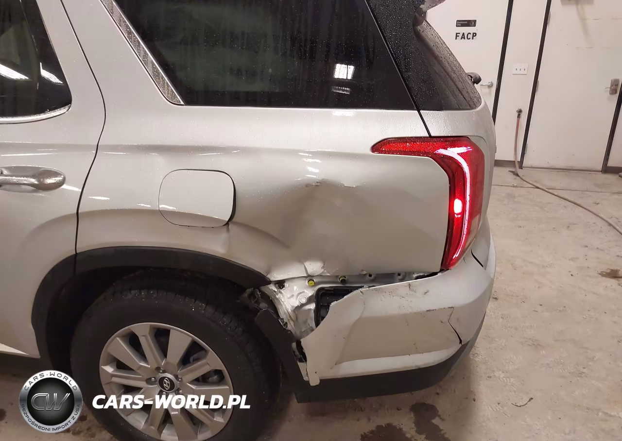 2025 Hyundai Palisade Sel VIN:KM8R2DGE1SU844629 - 6