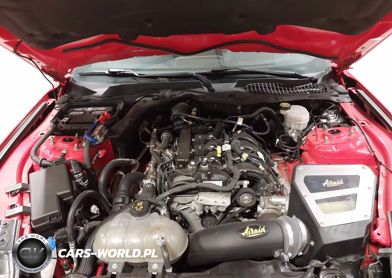 2021 Ford Mustang Ecoboost Premium Fastback VIN:1FA6P8TH5M5102012 - 10
