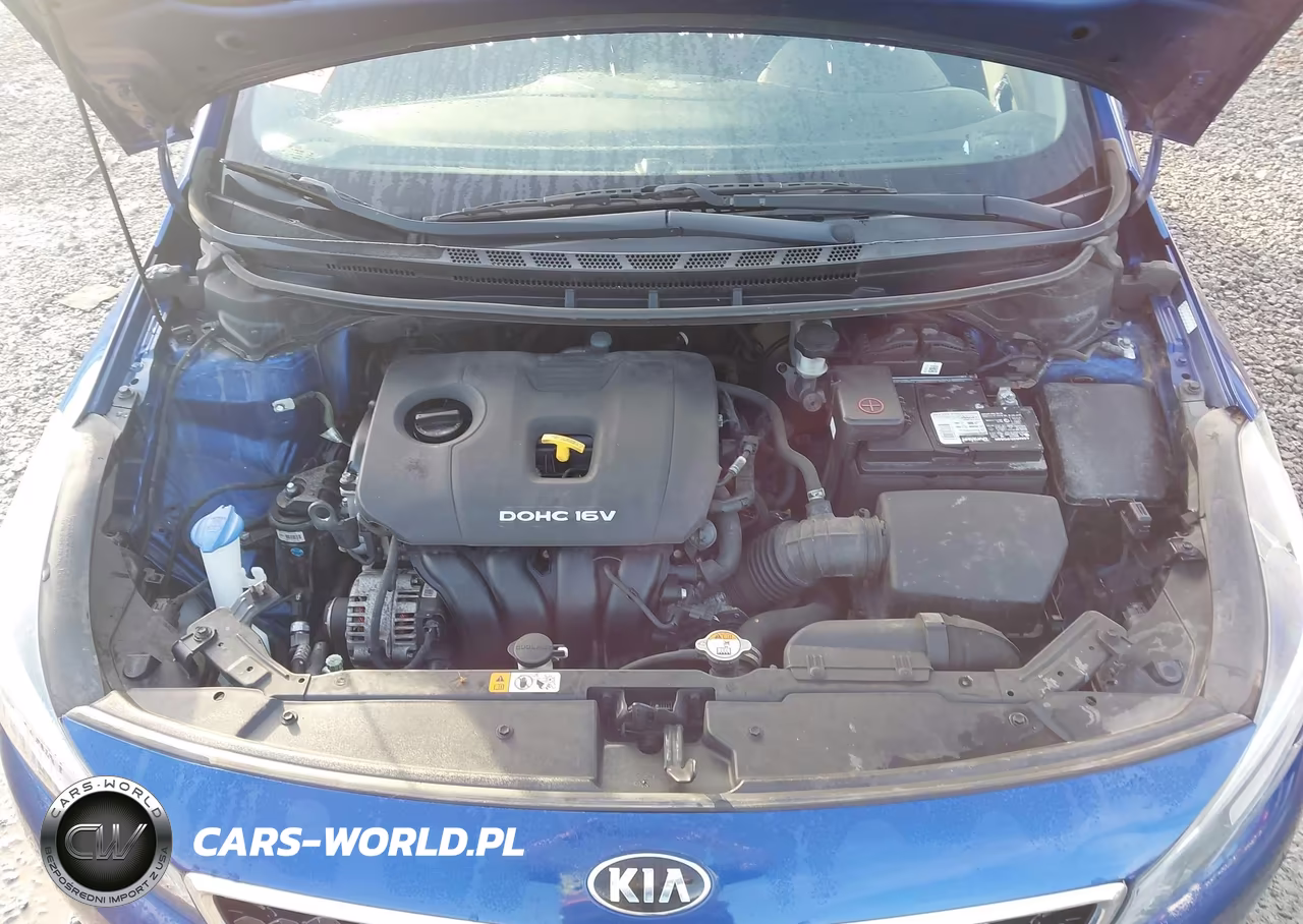 2017 Kia Forte S VIN:3KPFL4A78HE044576 - 10