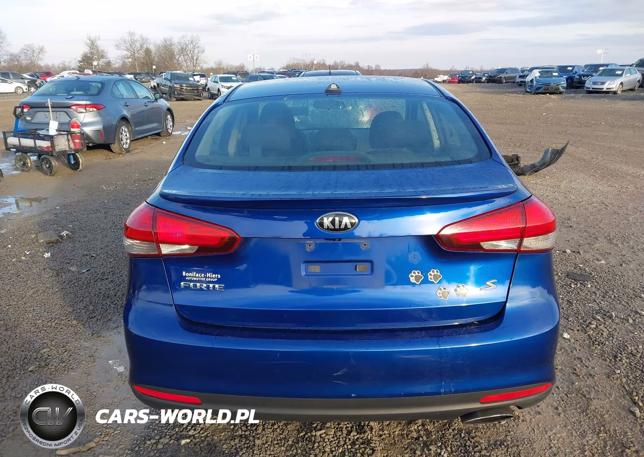 2017 Kia Forte S VIN:3KPFL4A78HE044576 - 16