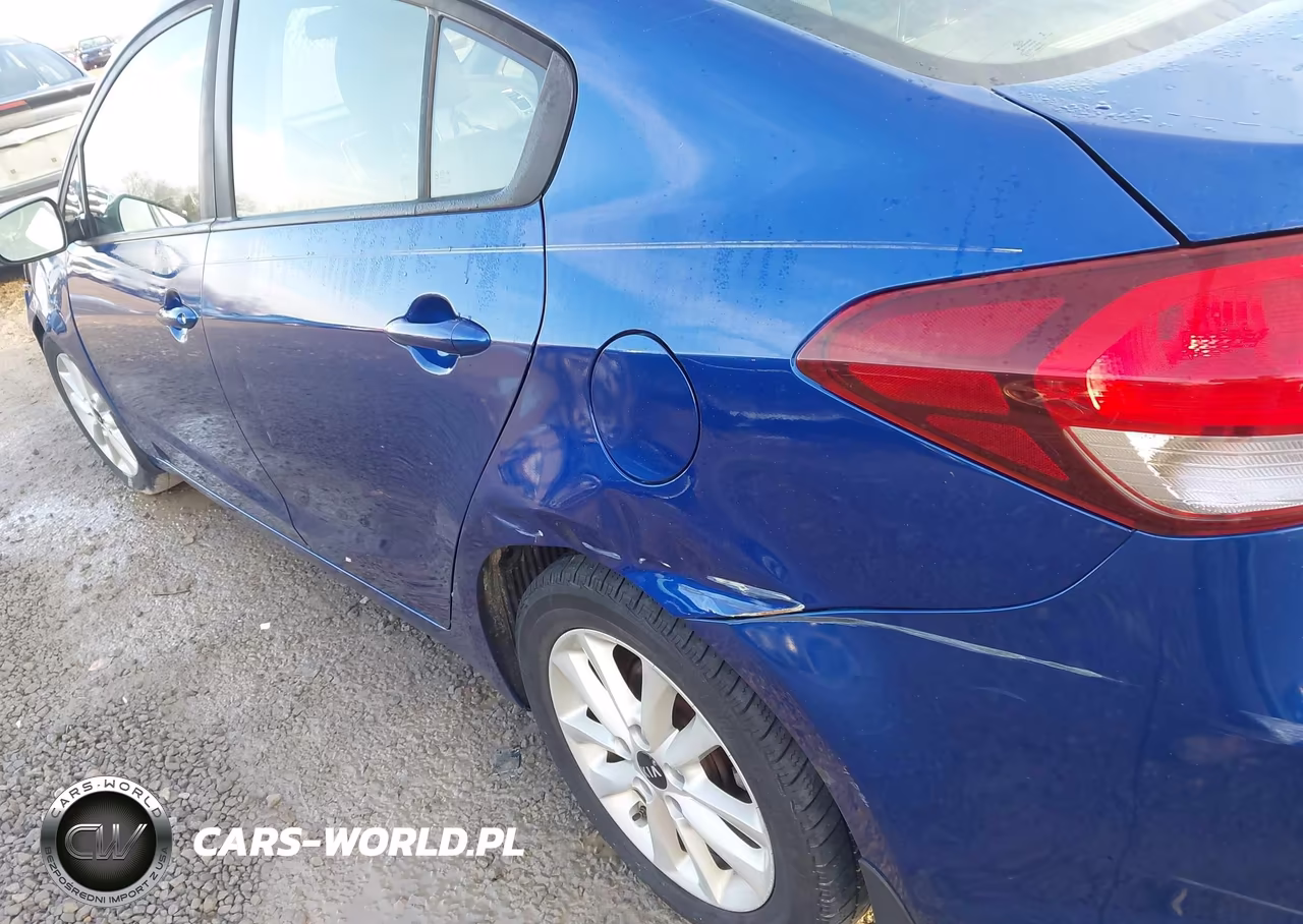 2017 Kia Forte S VIN:3KPFL4A78HE044576 - 17