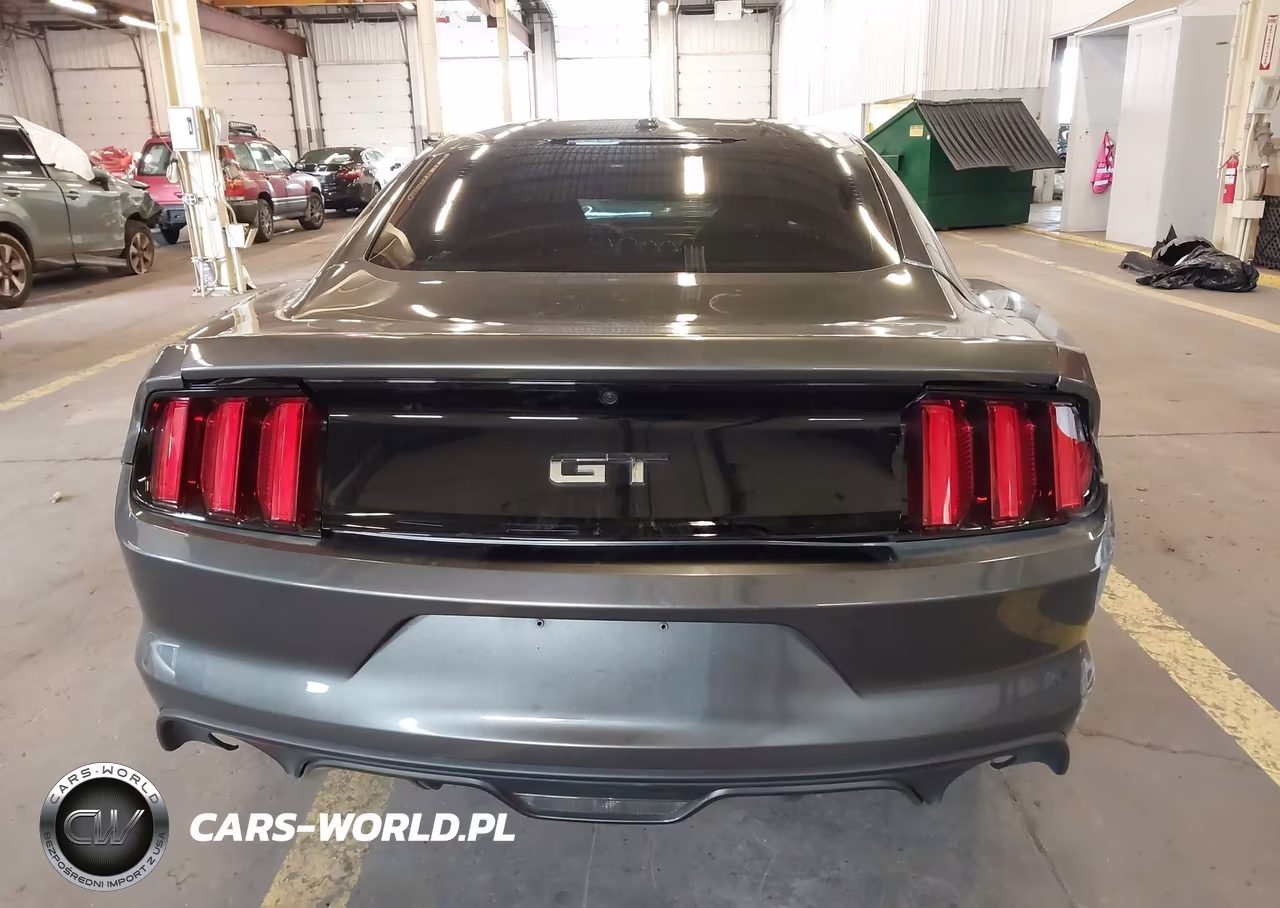 2015 Ford Mustang Gt Premium VIN:1FA6P8CF4F5431883 - 17