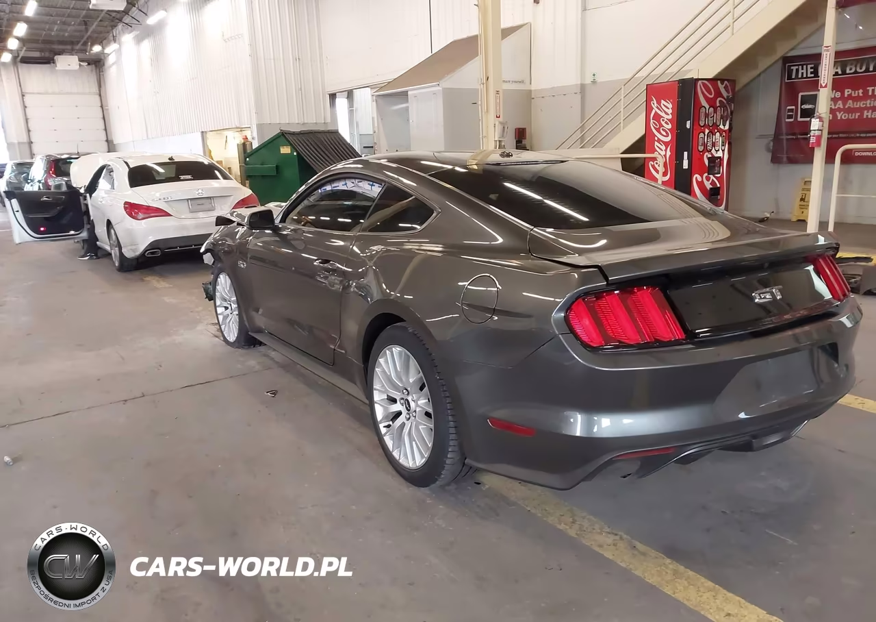 2015 Ford Mustang Gt Premium VIN:1FA6P8CF4F5431883 - 3