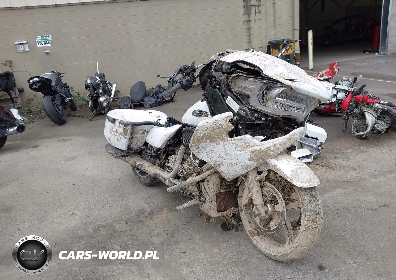 2025 Harley-Davidson Fltrx