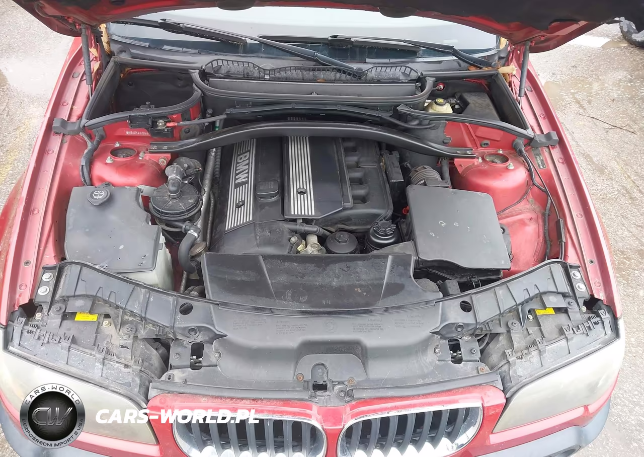 2005 BMW X3 3.0I VIN:WBXPA93445WD16753 - 10