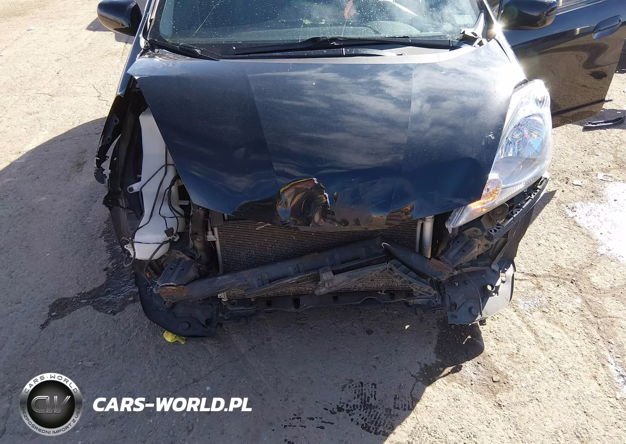 2010 Honda Fit Sport VIN:JHMGE8H46AC014019 - 6