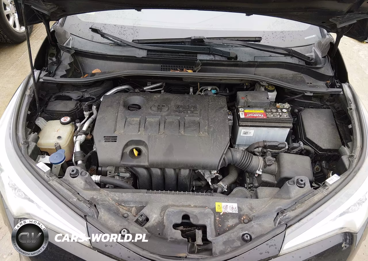 2018 Toyota C-Hr Xle VIN:NMTKHMBX3JR008819 - 10