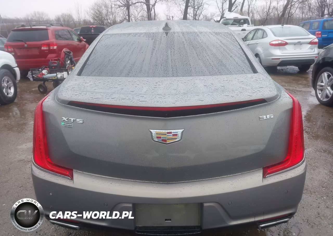 2019 Cadillac Xts Luxury VIN:2G61M5S31K9124156 - 16