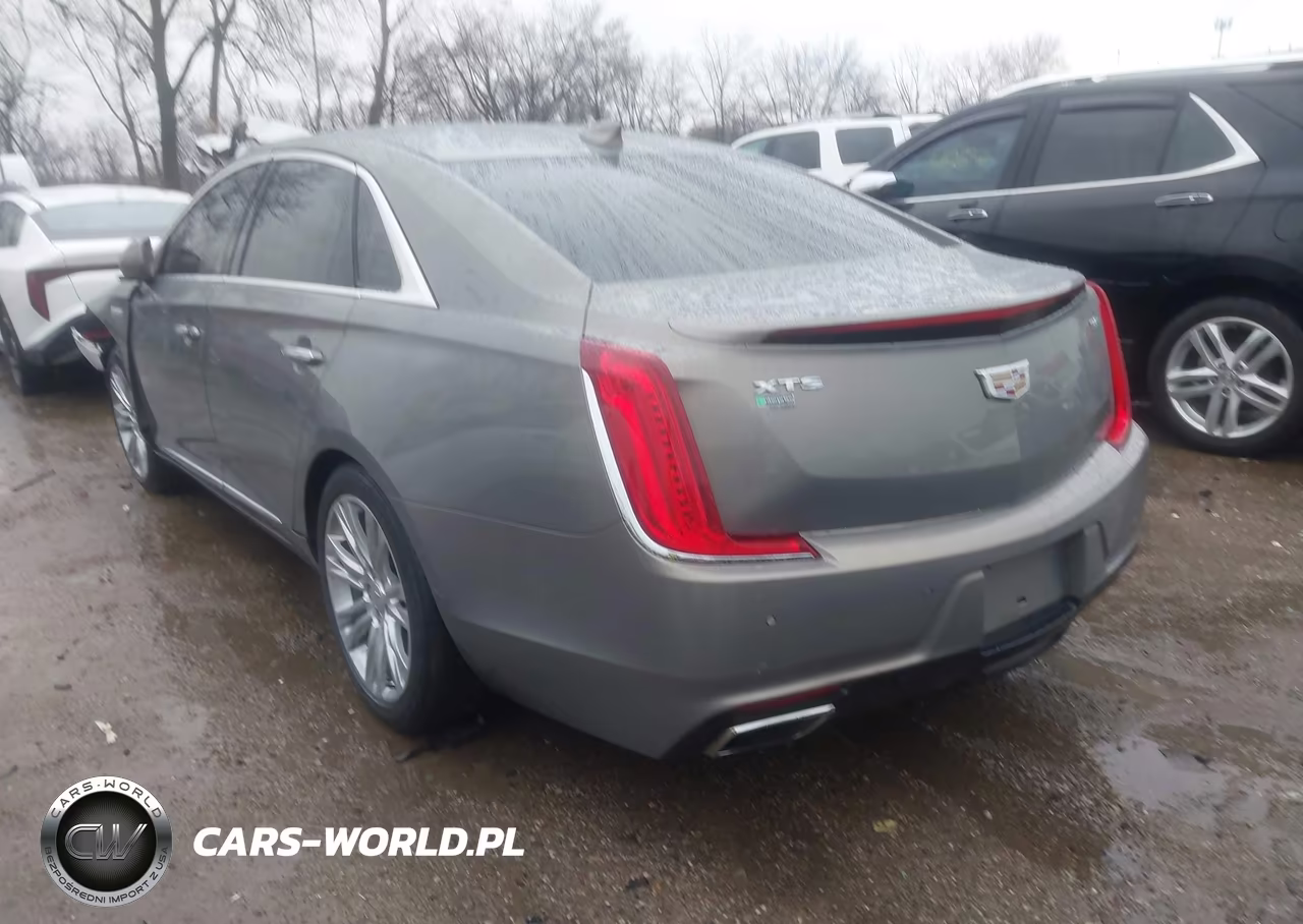 2019 Cadillac Xts Luxury VIN:2G61M5S31K9124156 - 3