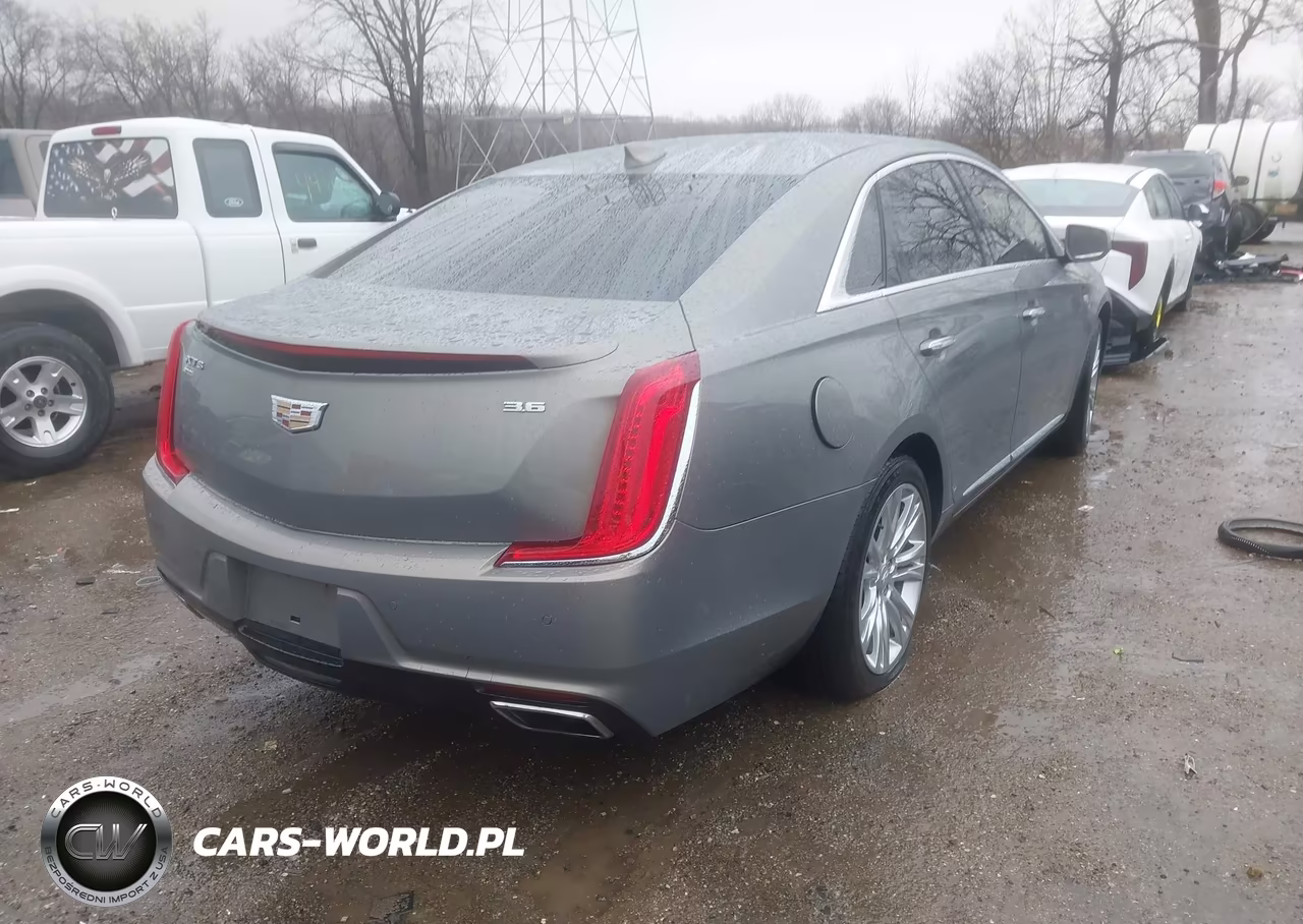 2019 Cadillac Xts Luxury VIN:2G61M5S31K9124156 - 4